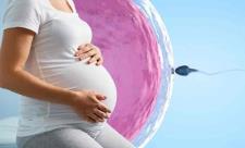 بی بی چک چند روز بعد از انتقال جنین