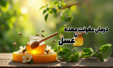 درمان عفونت معده با عسل (بهترین عسل برای