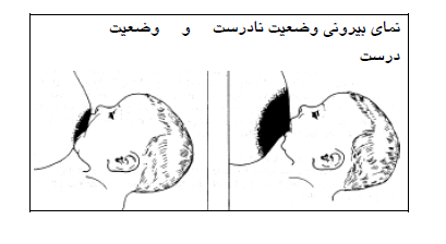شیر
