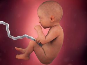 بارداری هفته به هفته - هفته سی و یکم بارداری