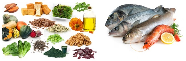 منابع غذایی امگا3