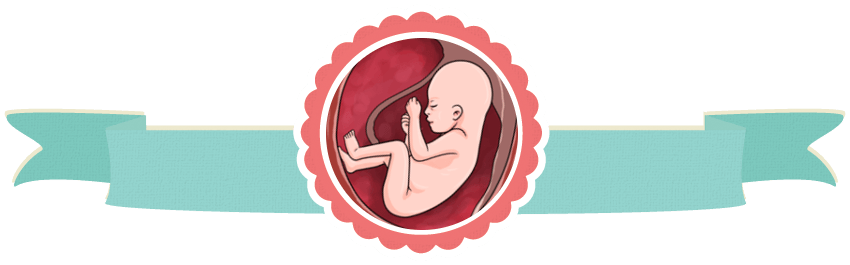 علائم تخمک بارور شده
