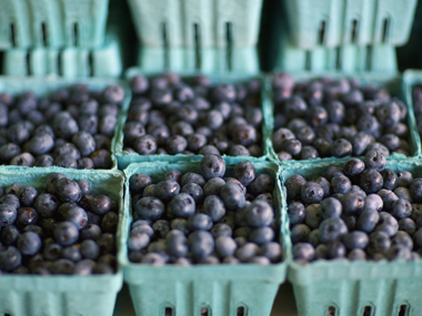 بلوبری در دیابت بلوبری در دیابت