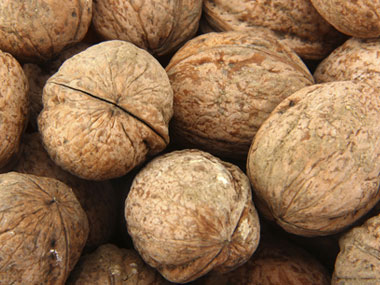 گردو در دیابت گردو در دیابت