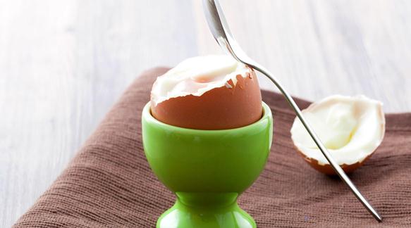 تخم مرغ و وزن گیری جنین تخم مرغ و وزن گیری جنین