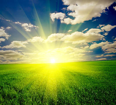 نور خورشید و بلند شدن قد نور خورشید و بلند شدن قد