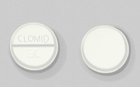 کلامید و دوقلوزایی کلامید و دوقلوزایی