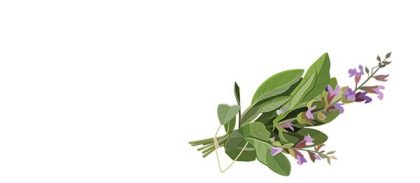 مریم گلی و آفت دهان