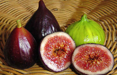 فواید انجیر در بارداری