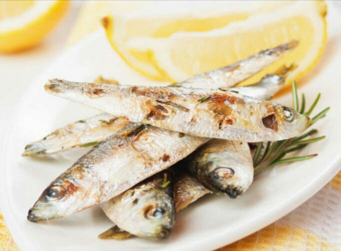ماهی ساردین غذایی مناسب برای بیماران قلبی ماهی ساردین غذایی مناسب برای بیماران قلبی