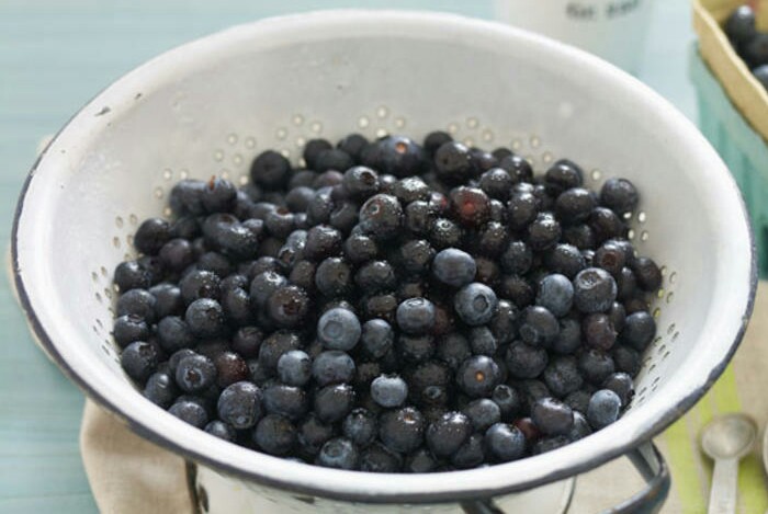 زغال اخته غذایی مناسب برای بیماران قلبی زغال اخته غذایی مناسب برای بیماران قلبی