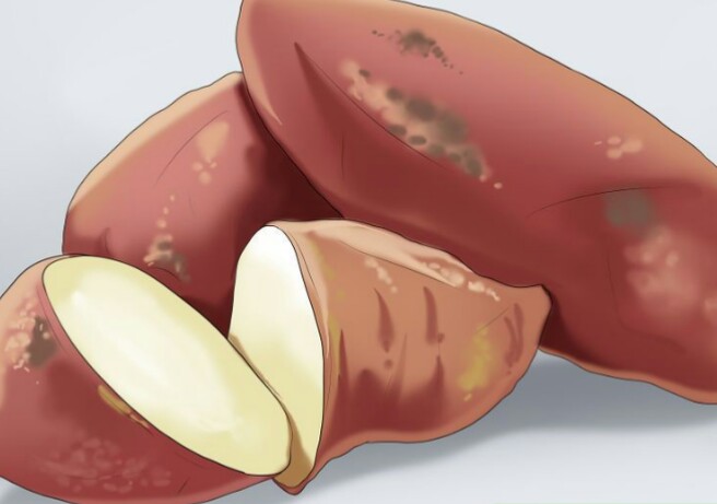 مصرف سیب زمینی شیرین برای کاهش درد روماتیسم مصرف سیب زمینی شیرین برای کاهش درد روماتیسم