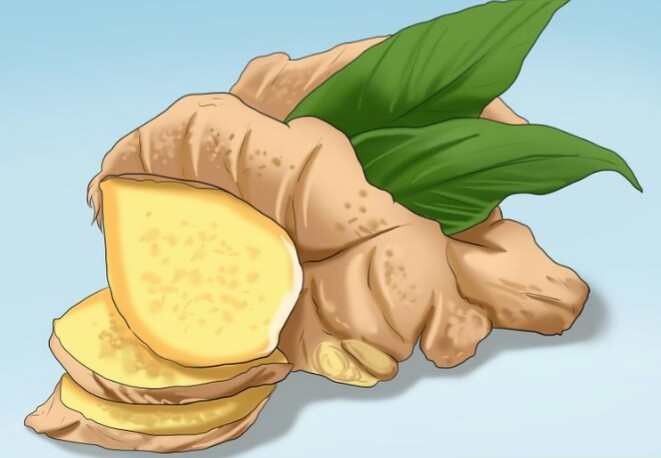 مصرف زنجبیل برای کاهش درد روماتیسم مصرف زنجبیل برای کاهش درد روماتیسم