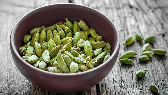 هل و بارداری