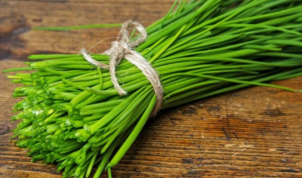 جعفری و بارداری