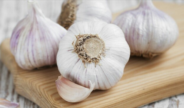 سیر و بارداری