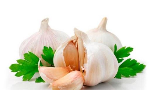 سیر در مسمومیت غذایی