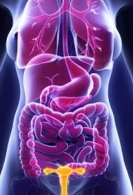 یائسگی و تخم کتان یائسگی و تخم کتان