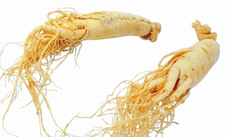 خواص جینسینگ خواص جینسینگ