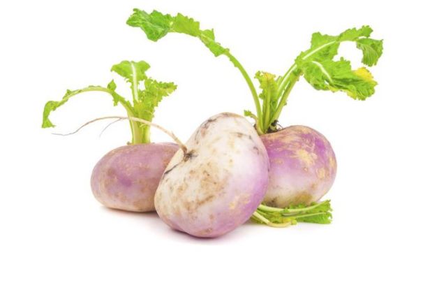 مزایای شلغم خوردن در بارداری مزایای شلغم خوردن در بارداری