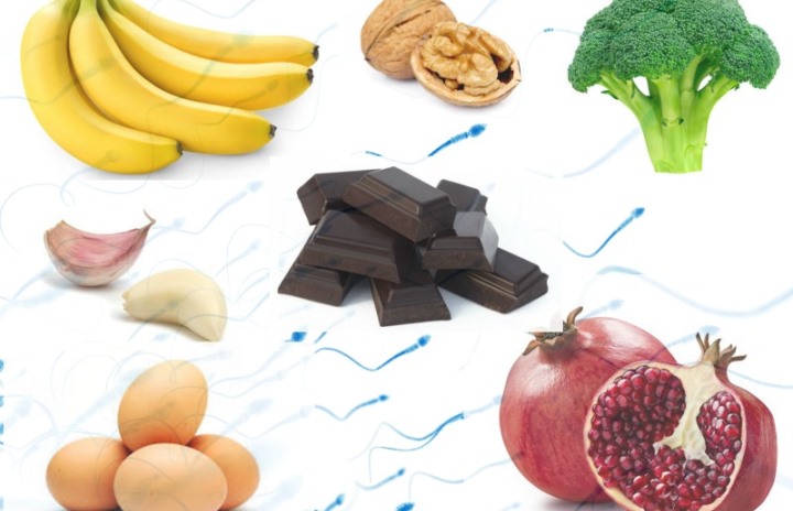 ویتامین e و حرکت اسپرم ویتامین e و حرکت اسپرم