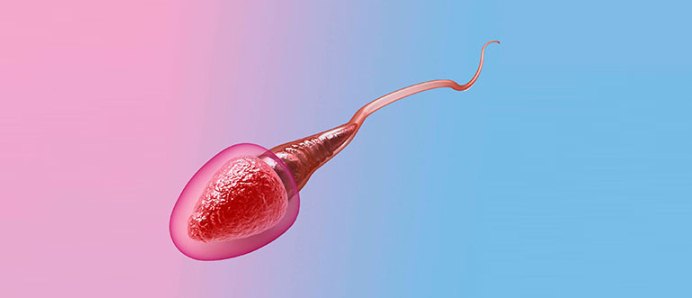 علل پزشکی نازایی در مردان علل پزشکی نازایی در مردان