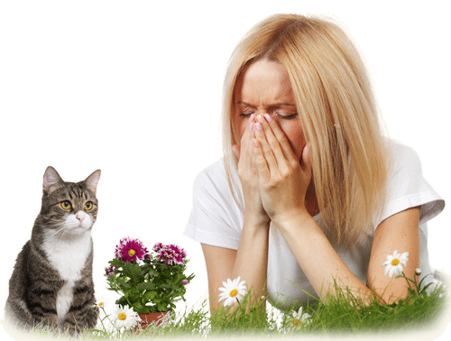 شایعترین آلرژن