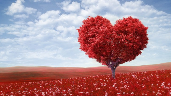 موهبت ارگاسم برای زنان موهبت ارگاسم برای زنان