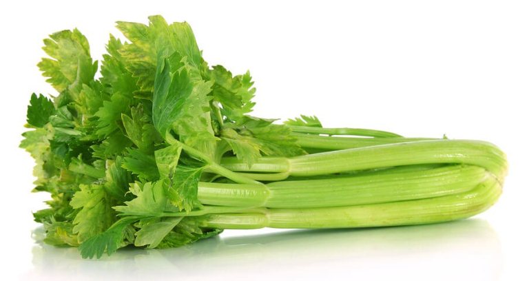 مواد موجود در کرفس مواد موجود در کرفس