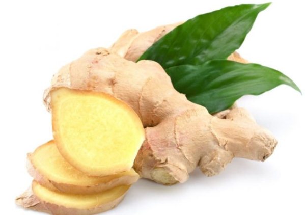 زنجبیل و حالت تهوع زنجبیل و حالت تهوع