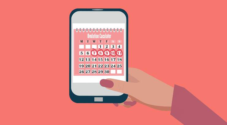 بارداری قبل و بعد از تخمک گذاری