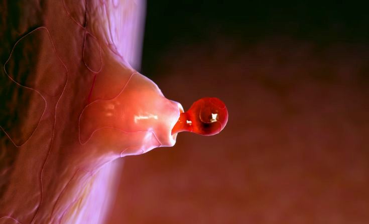 زمان تخمک گذاری