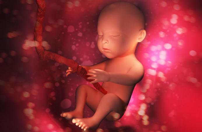 8 راه بیدار کردن جنین در رحم