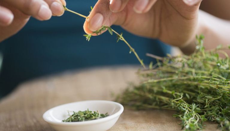 خواص مهم آویشن خواص مهم آویشن