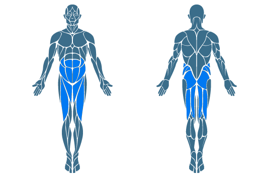 کویتیشن و لاغری موضعی کویتیشن و لاغری موضعی