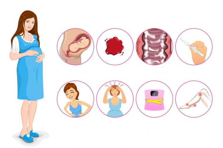 علائم بارداری و لقاح