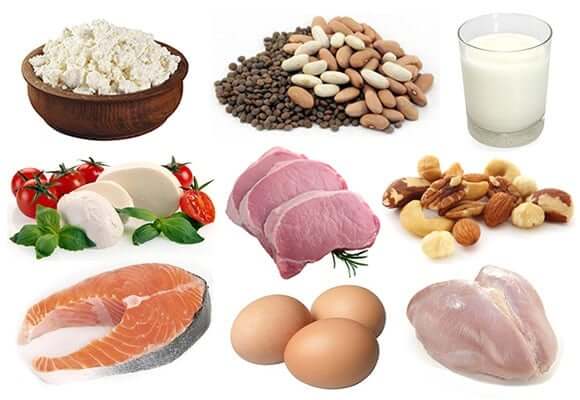رژیم غذایی پروتئین لاغری رژیم غذایی پروتئین لاغری