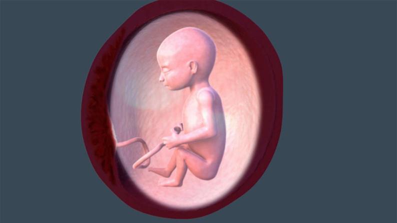 5 نکته اصلی که از سه ماهه دوم بارداری باید بدانید