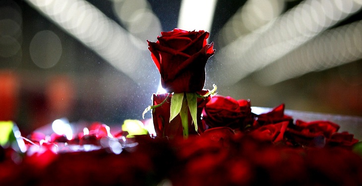 شعر شعر