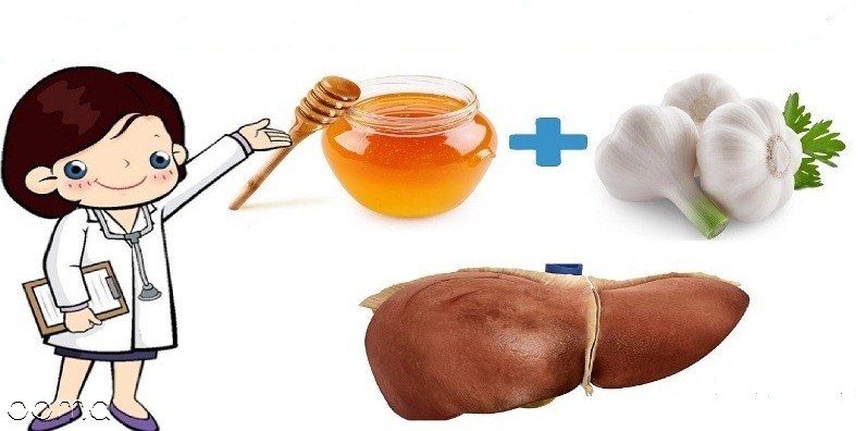 خواص سیر برای کبد