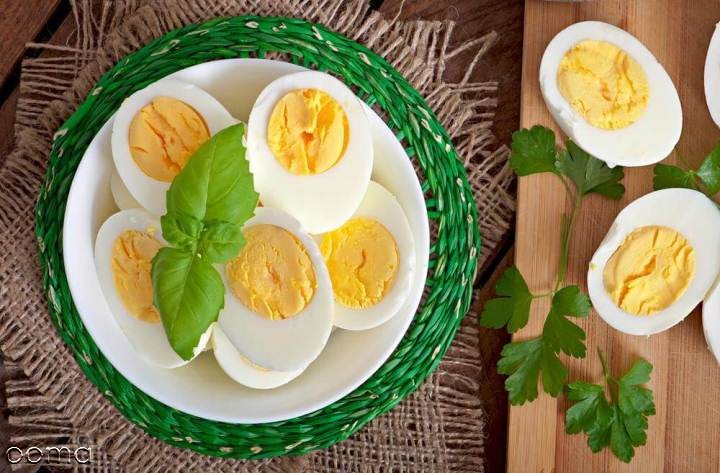 رژیم غذایی تخم مرغ رژیم غذایی تخم مرغ