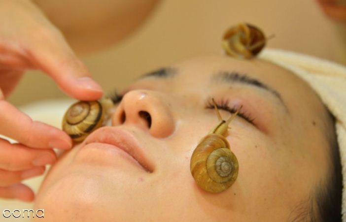 حلزون تراپی یا حلزون درمانی حلزون تراپی یا حلزون درمانی