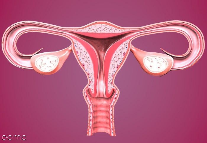 زمان تنشخیص بارداری مولار