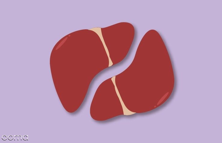 علت ایجاد کبد چرب