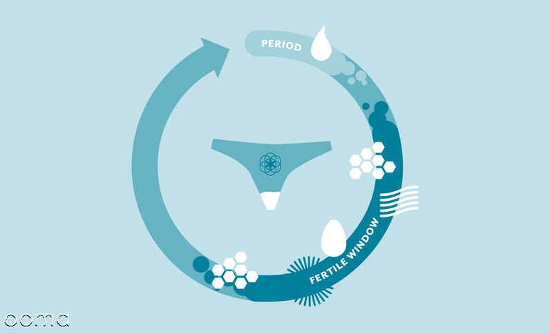 علائم لحظه آزاد شدن تخمک