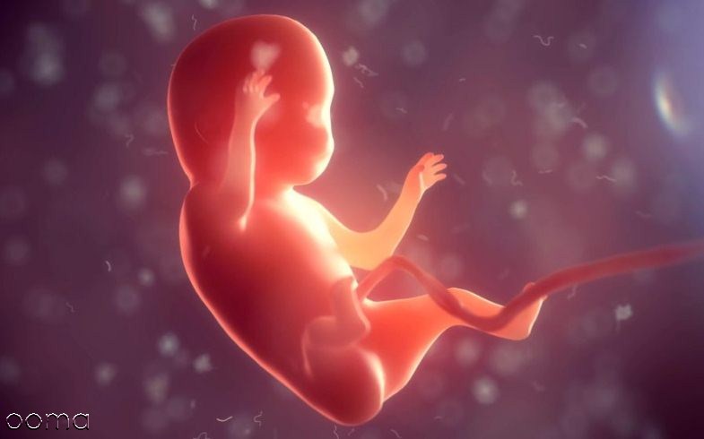 ماه زیبایی جنین ماه زیبایی جنین