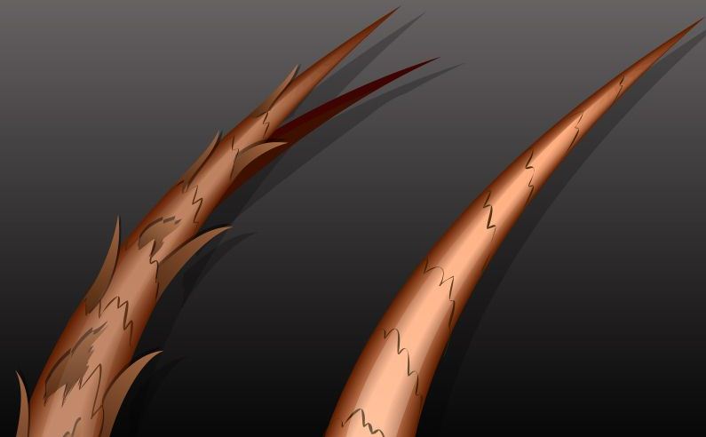 موخوره چیست موخوره چیست