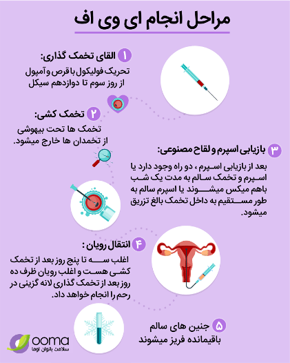 فریز تخمک بهتر است یا فریز جنین/ عکس جنین فریز شده سه روزه