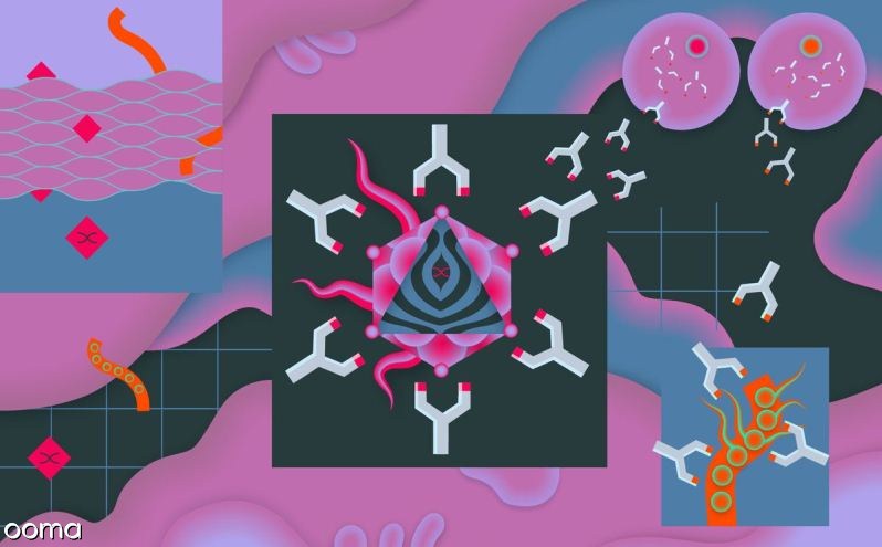 کرونا ویروس جدید