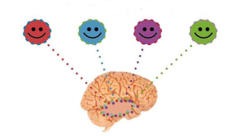 انواع هورمون شادی